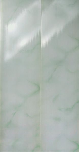 Пластикова панель 6000х250x8мм (зелений) SN007045 фото